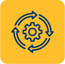 Implementation & Post-Merger IT Integration
